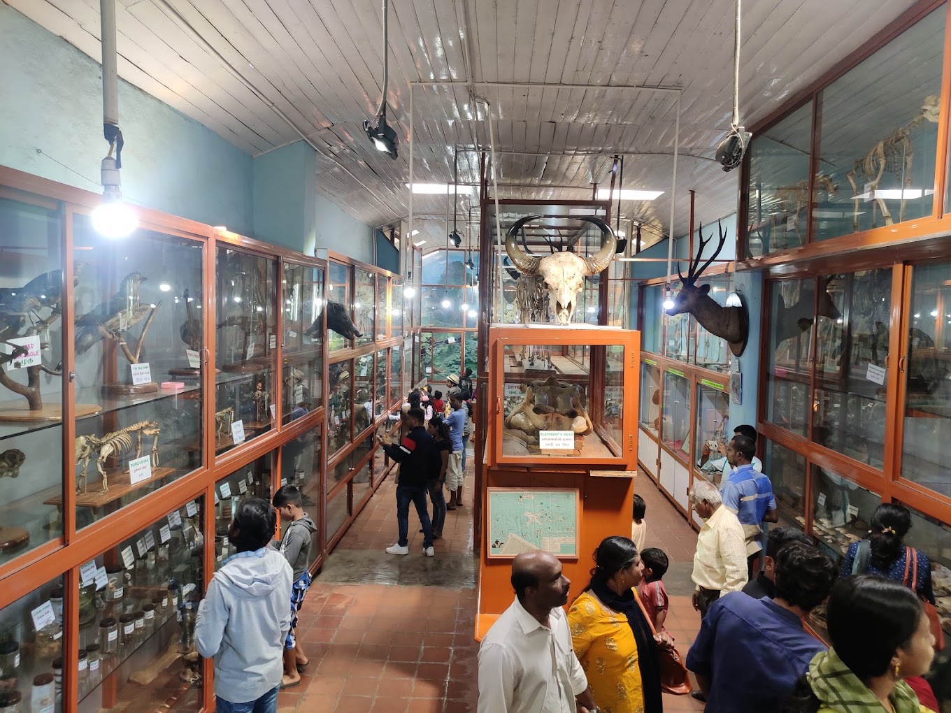 Sacred Heart College Museum